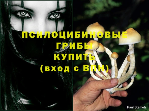 прущие крисы Алзамай